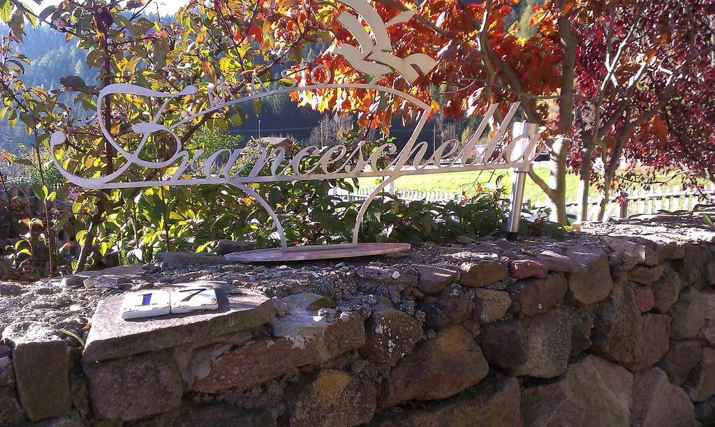 Maso Franceschella Bed and Breakfast Carano  Εξωτερικό φωτογραφία